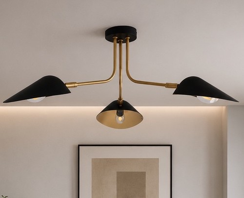 Arm ceiling light - 3, flush